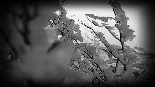 Grausamkeit - Weltentod