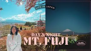 Life in Japan | mt. fuji views 🗻🍁 hana no miyako park, chureito pagoda, gotemba outlets (ep 11)