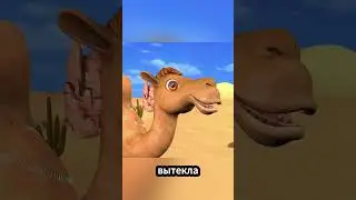 Эта тайна пяти горбов верблюда разгадана🐫🤣   