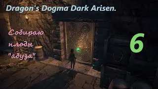 Dragon's Dogma Dark Arisen.#6.Остров сундучки,статуэтки,лунные кристаллы открывающие каменные двери.