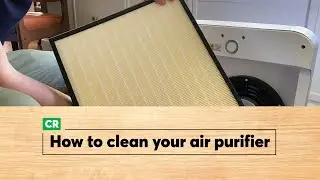 How to Clean an Air Purifier | Consumer Reports