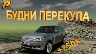 ПОДНИМАЕМ ДЕНЬГИ С ВОЗДУХА | + 250К НА ИЗИ - РАДМИР РП КРМП