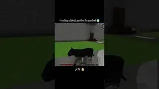 hunting a black panther in mini block craft Survival | #kbcraft #shorts