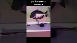 ГОВОРЯЩАЯ И ПОЮЩАЯ РЫБА shorts Doki Trash