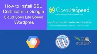 How to Install SSL Certificate in Google Cloud Open Lite Speed Wordpres