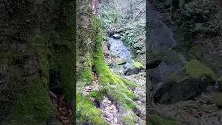 Волконское ущелье / Два брата