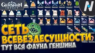 СЕТЬ ВСЕВЕЗДЕСУЩНОСТИ. ГДЕ ЛОВИТЬ ЖИВОТНЫХ В ЧАЙНИК. ГЕНШИН | GENSHIN IMPACT