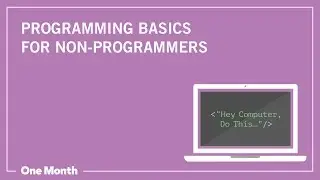 What programming language should I learn?