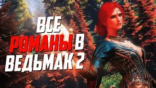 ГАЙД Все романы в Ведьмак 2 Убийцы Королей