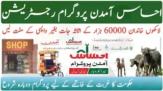 How To Get Ehsaas Amdan Program Registration 60000 || Ehsaas Amdan Restart Without Return Payment