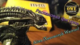 Распаковка фигурки Чужого с AliExpress (Xenomorph Warrior)