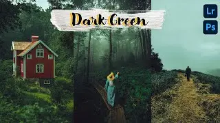 DARK GREEN COLOR GRADING PRESET -DNG & XMP - MOBILE & DESKTOP PRESET