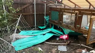 North Texas Storm Damage | Garden & Animals