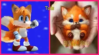 Sonic The Hedgehog In Real Life 💥 All Characters 👉