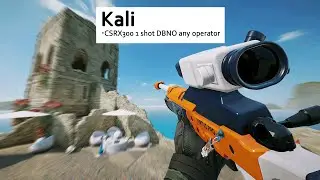 I Mastered Kali and here's how it went...