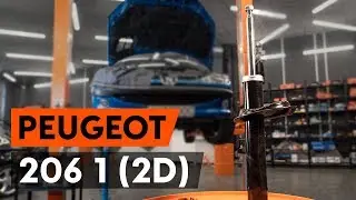 Как заменить стойку амортизатора передней подвески на PEUGEOT 206 1 (2D) [TUTORIAL AUTODOC]