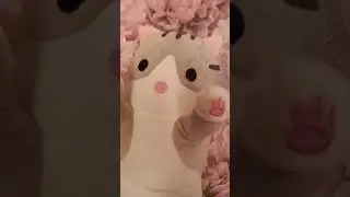 я Ирина бум 