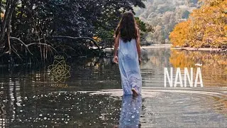 NANÃ - Rosa Amarela