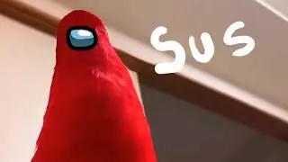 Pájaro rojo riendo meme compilación #2