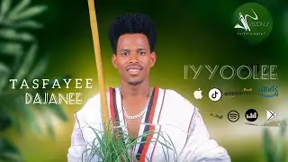 Tesfaye Dejene-Iyyoolee ( Official Video)