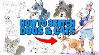 How to Sketch DOGS & CATS With Loose Ink Lines!