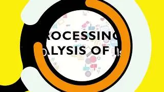 Part 1- Processing and Analysis of Data