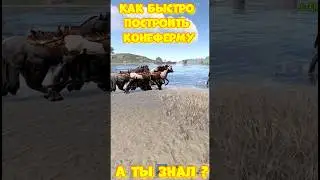 КАК БЫСТРО построить КОНЕ ФЕРМУ в игре РАСТ / RUST  