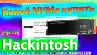 КАКОЙ NVME ДИСК КУПИТЬ ДЛЯ HACKINTOSH ?! - ALEXEY BORONENKOV