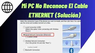 Mi PC No Reconoce El Cable ETHERNET (Solución) ¡Rápido!