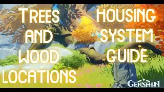 Wood And Trees Locations - Genshin Impact