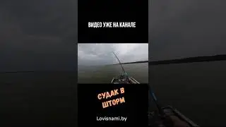 Находим судака на Вилейке и показываем, как нужно ловить эту рыбу. Полное видео на канале #shorts