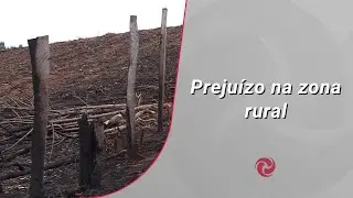 Incêndio atinge cafezais em Paraguaçu