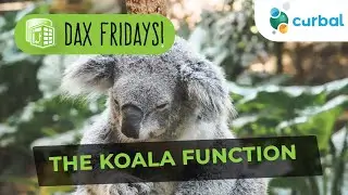 DAX Fridays! #168: COALESCE function a.k.a koala function ;)