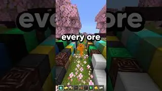 BEST Y LEVEL FOR EVERY ORE IN 1.21! 