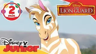 The Lion Guard | The Golden Zebra Song 🎤 | Disney Kids