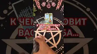 +393929906674#таро #гадания #мужчина #tarot #таролог #гаданиеонлайн #тарогадание #мчд#таромания#