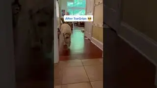The ToeGrips Transformation
