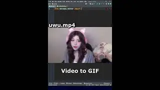 Video to GIF animation under 20 sec with Python *UWU*