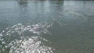 устье реки Бзыбь.