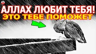 ТЫ ЗНАЛ, ЧТО АЛЛАХ ЛЮБИТ ТЕБЯ! ПОКАЯНИЕ АСТАГФИРУЛЛАХ  ХАДИС  СУННА ПРОРОКА МУХАММАДА