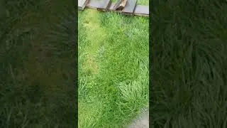 Упала доска!