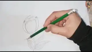 Drawing || Drawing rose || easy drawing for kids || easy drawing || step by step drawing