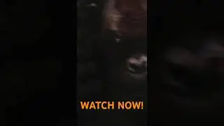 Godzilla VS Scar King