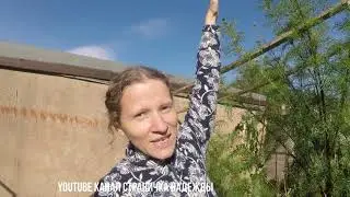 Наконец то ДОМА