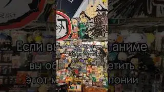 ЛУЧШИЙ МАГАЗИН ДЛЯ ЛЮБИТЕЛЕЙ АНИМЕ В ЯПОНИИ 