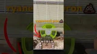 Что такое туалетный угол?