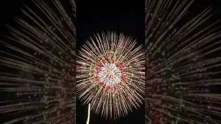 FIREWORKS 1 #shorts #shortsfeed #fireworks #happynewyear