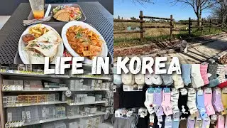 LIFE IN KOREA 🇰🇷 Korean Brunch 🥗 & Daiso Winter Items ❄️🧤