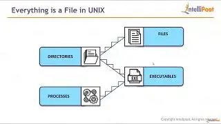 LM3   Lecture 1 – Everything Is A File In UNIX
