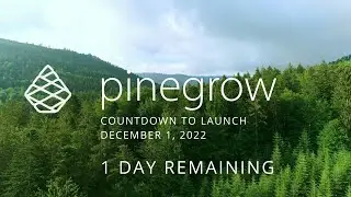 Pinegrow Countdown Day 1 – Playing Nice with Others